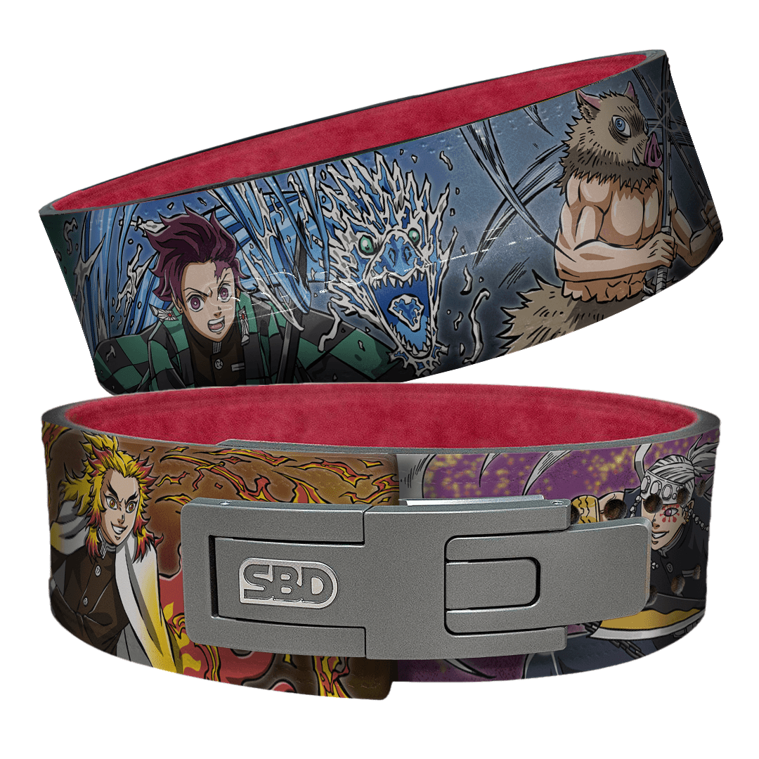 DMS Lifting Belt
